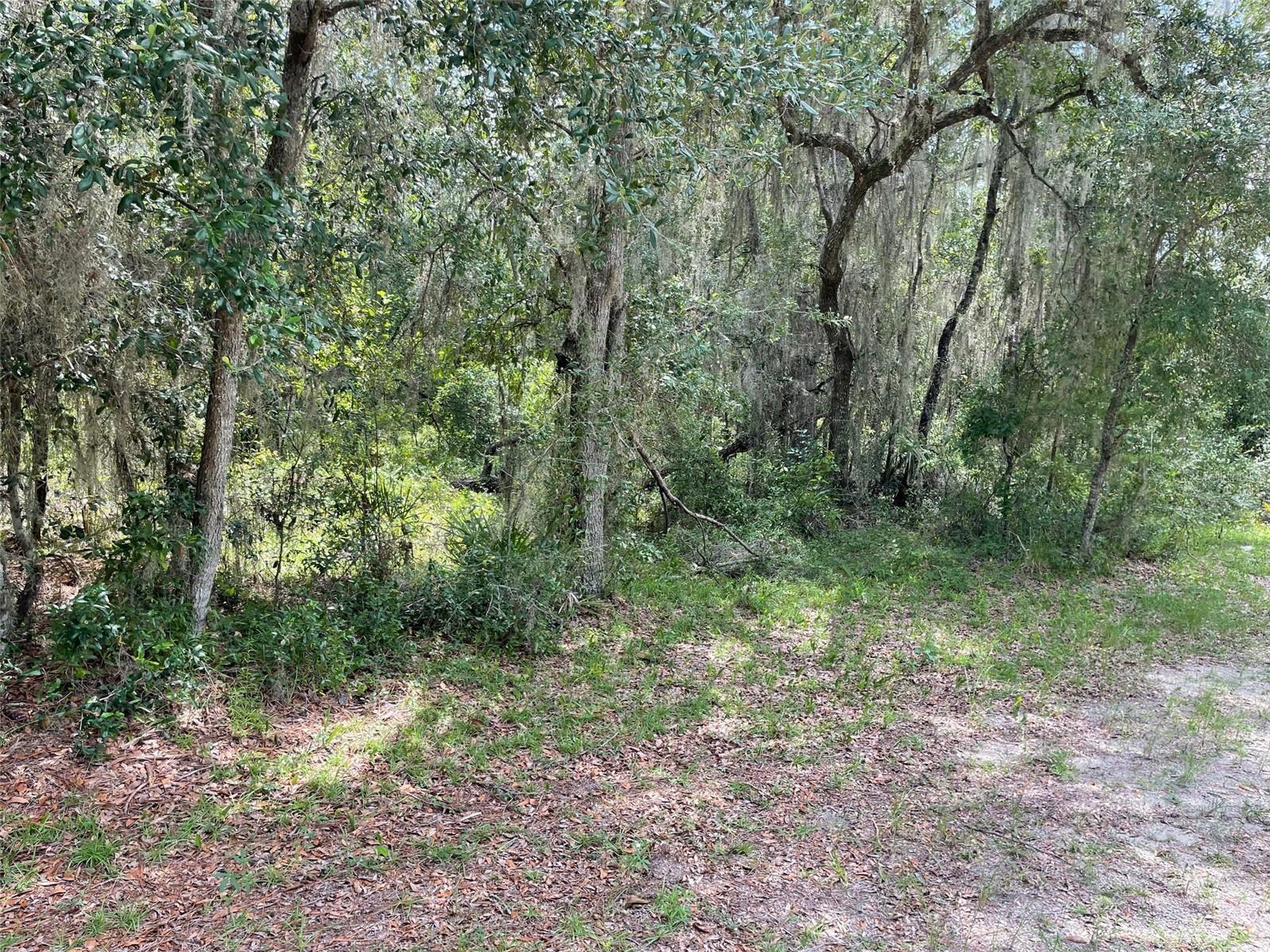 RAINBOW LAKES ESTATES - Land