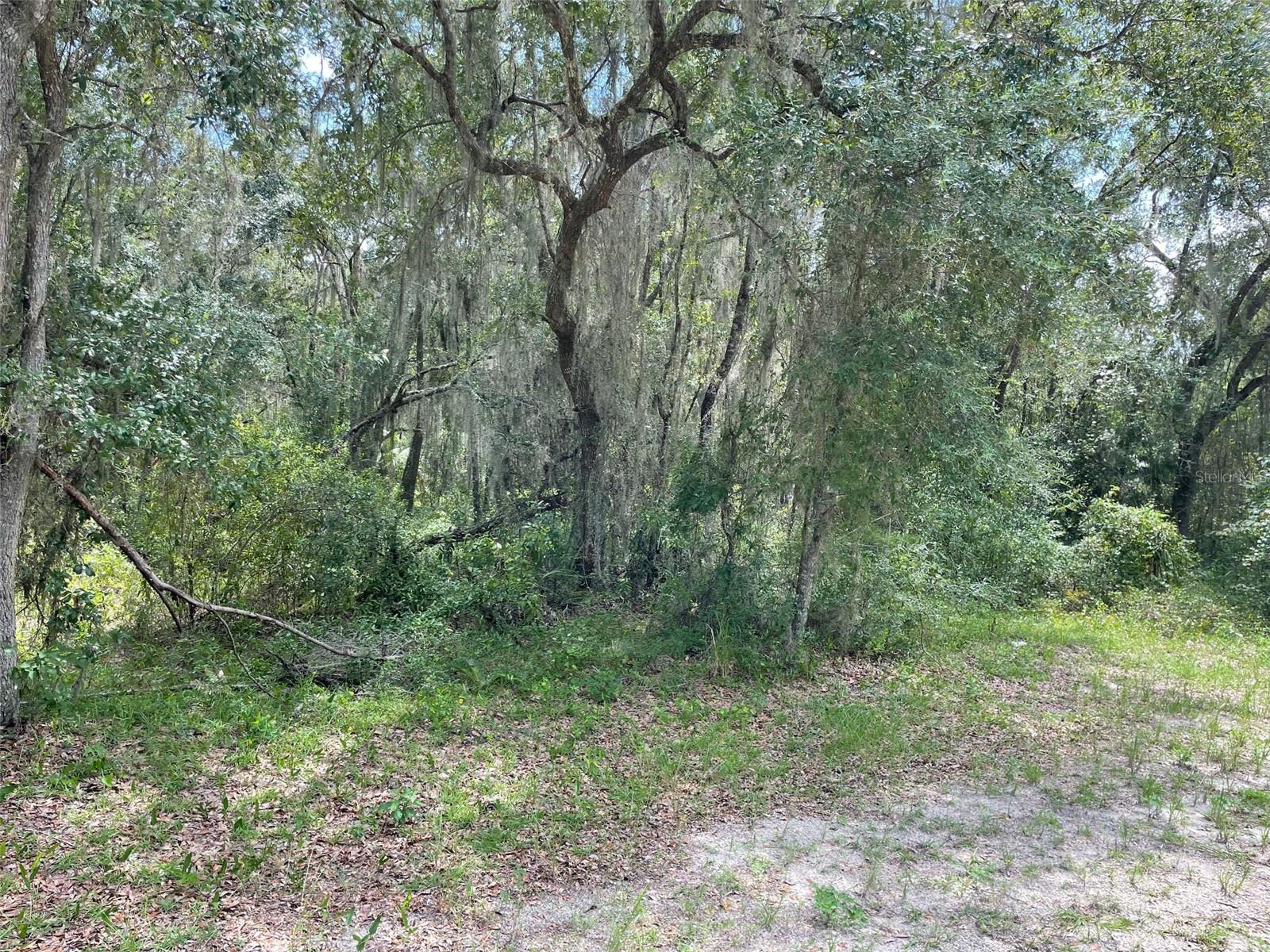 RAINBOW LAKES ESTATES - Land