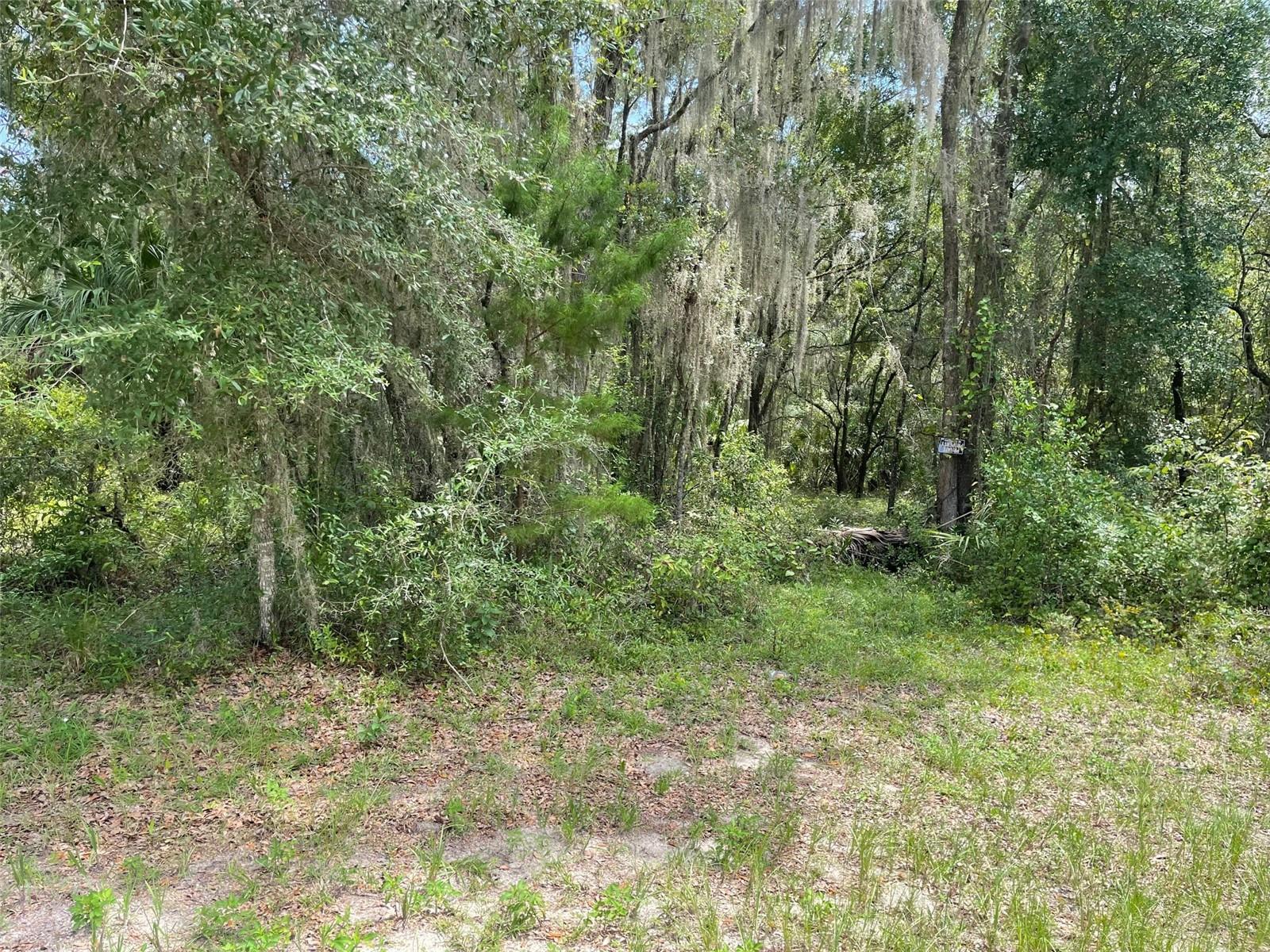 AWESOME LAKE FRONT PROPERTY SITUATED ON A BIT OVER 1/2 ACRE (0.52 Acres). LOCATED ON A DEAD END ON A PAVED ROAD IN THE SOUGHT-AFTER COMMUNITY OF RAINBOW LAKES ESTATES WITH NO HOA OR TIME LIMIT TO BUILD (No Mobile Homes). PEACEFUL AND SERENE THIS HOMESITE IS NICELY TREED AND WOODED. WHAT A GREAT LOCATION TO BUILD YOUR DREAM HOME, VACATION HOME OR INVESTMENT PROPERTY ON THE LAKE. LOCATED ON BONABLE LAKE THIS PROERTY IS PERFECT FOR KAYAKING, FISHING AND BOATING RIGHT AT YOUR DOOR STEP! JUST IMAGINE ENJOYING THE BEAUTIFUL VIEW AND RELAXING LAKE FRONT WITH FRIENDS AND FAMILY ENTERTAINING IN YOUR BEAUTIFUL NEW HOME TAKING IN ALL THAT NATURE HAS TO OFFER AND OUR FINE FLORIDA WEATHER! RAINBOW LAKES ESTATES FEATURES 2 LAKES AND 2 PLAYGROUNDS, EXERCISE ROOM, TIGER LAKE WITH A BOAT RAMP, COMMUNITY CENTER AND TENNIS AND BASKETBALL COURT. CONVENIENT TO HISTORIC DOWNTOWN DUNNELLON WHERE YOU'LL FIND ANTIQUE SHOPS, RESTAURANTS AND SHOPPING, OCALA, CRYSTAL RIVER, WITHLACOOCHEE RIVER, LAKE ROUSSEAU WHERE YOU CAN ENJOY FISHING FOR LARGE MOUTH BASS, GULF COAST, GAINESVILLE, WORLD EQUESTRIAN CENTER AND THE BEAUTIFUL CRYSTAL-CLEAR WATERS OF RAINBOW SPRINGS STATE PARK WHERE YOU CAN ENJOY KAYAKING, CANOEING, TUBING, SNORKELING AND PICNICING. COME CLAIM YOUR PIECE OF PARADISE!! ***THERE IS ALSO AN ADJACENT LOT NEXT DOOR FOR SALE. THE TOTAL OF BOTH LOTS WOULD BE 1.04 ACRES***