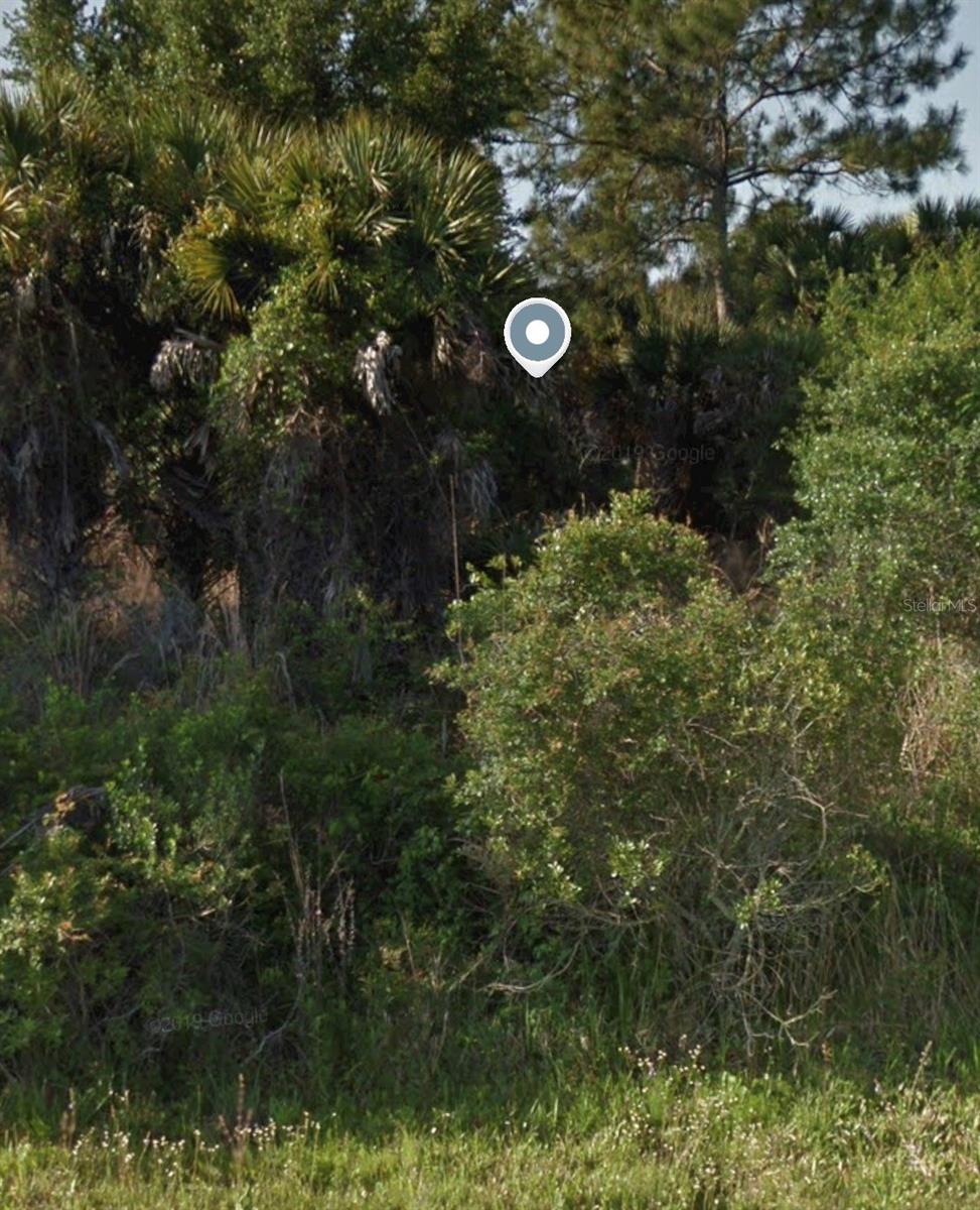 PORT CHARLOTTE SUB 25 - Land