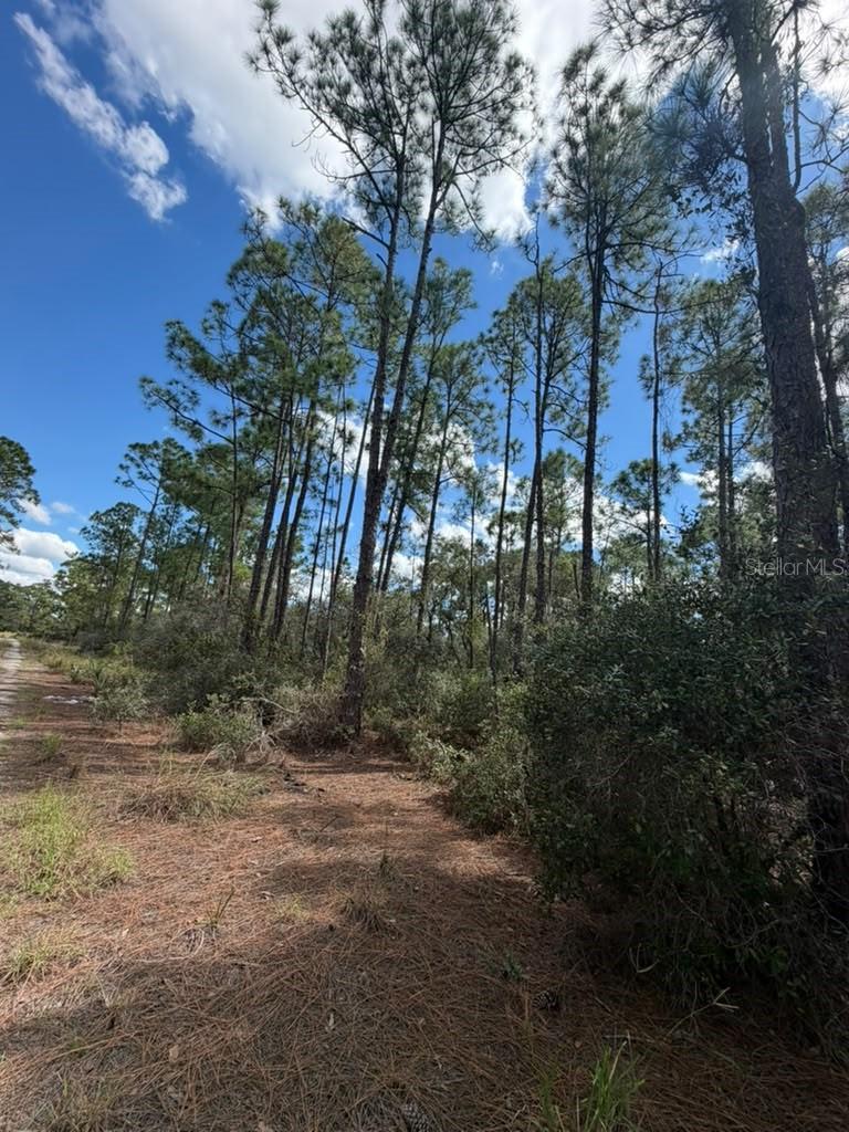 SUN 'N LAKES ESTATES - Land