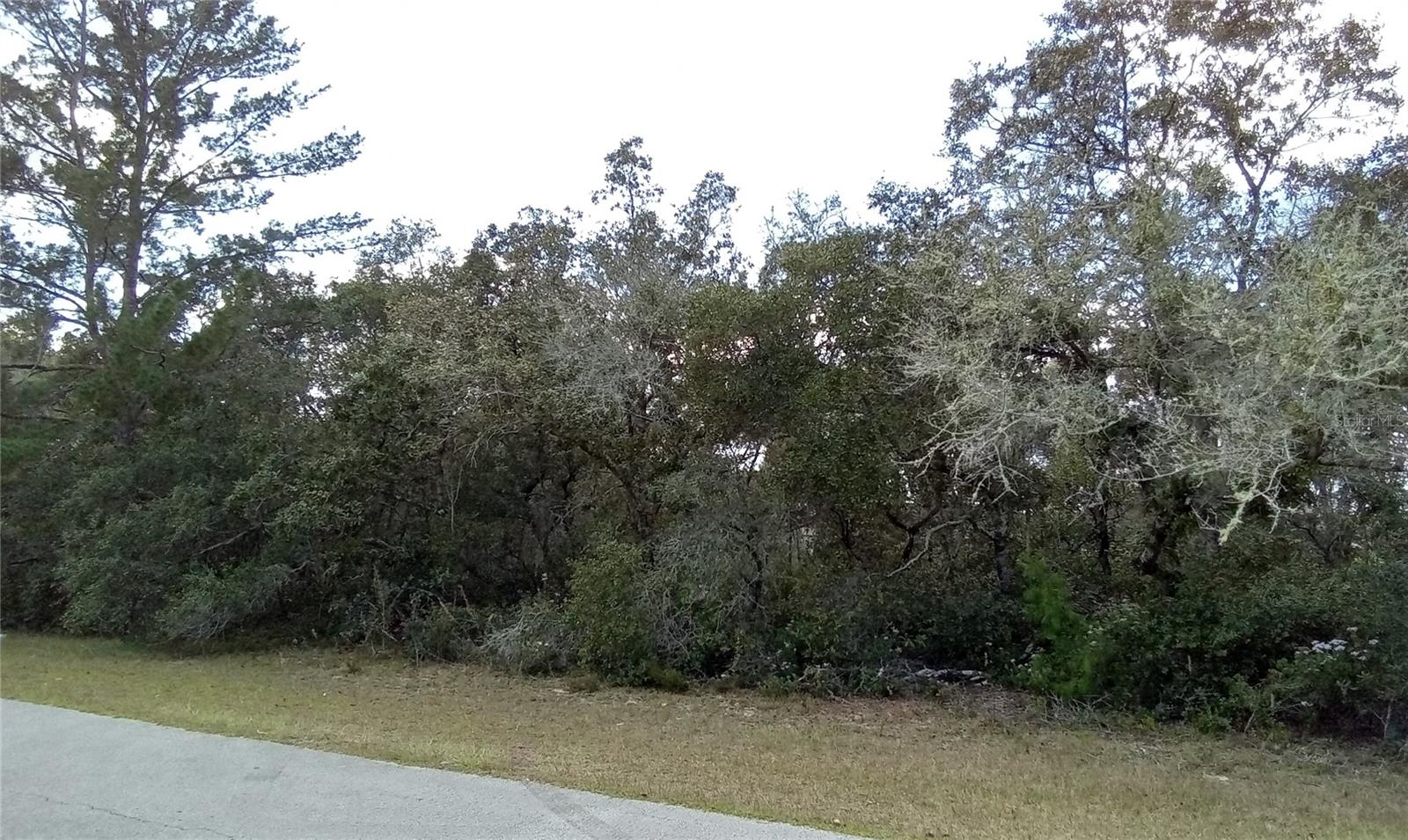 MARION OAKS UN 3 - Land