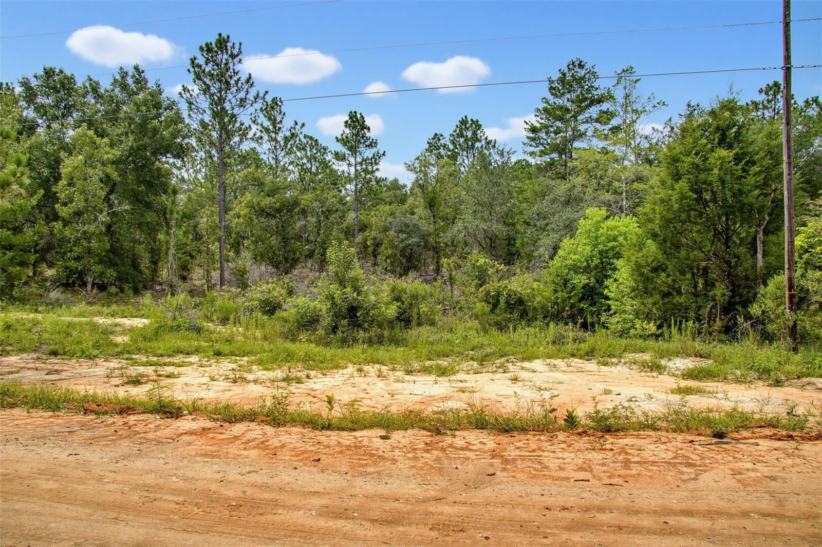 INTERLACHEN LAKES ESTATES - Land