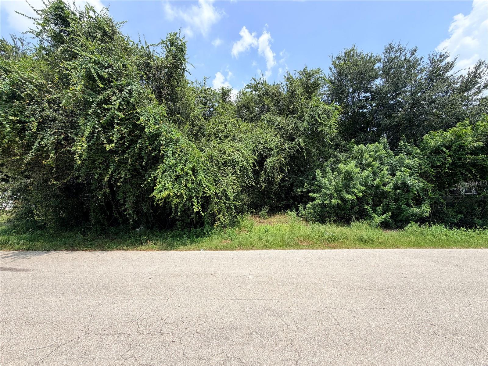 Excellent investment opportunity in Lehigh Acres! This oversized 12,450 sq. ft. residential lot is zoned RM-2, allowing for duplex construction and offering an ideal opportunity for investors, builders, or those looking to develop an income-producing property. Situated on a paved road in an established neighborhood with existing duplexes, this generously sized parcel provides excellent potential for your next building project. Whether you're looking to build a duplex for long-term rental income, develop and resell, or add to your real estate investment portfolio, this property is worth considering! Electricity is available in the area. The lot is currently fully wooded and uncleared, allowing buyers to plan their development from the ground up. Conveniently located near shopping, dining, and major roadways in Southwest Florida. Buyer to verify utility availability, well and septic requirements, setbacks, and all applicable building and permitting requirements with Lee County.