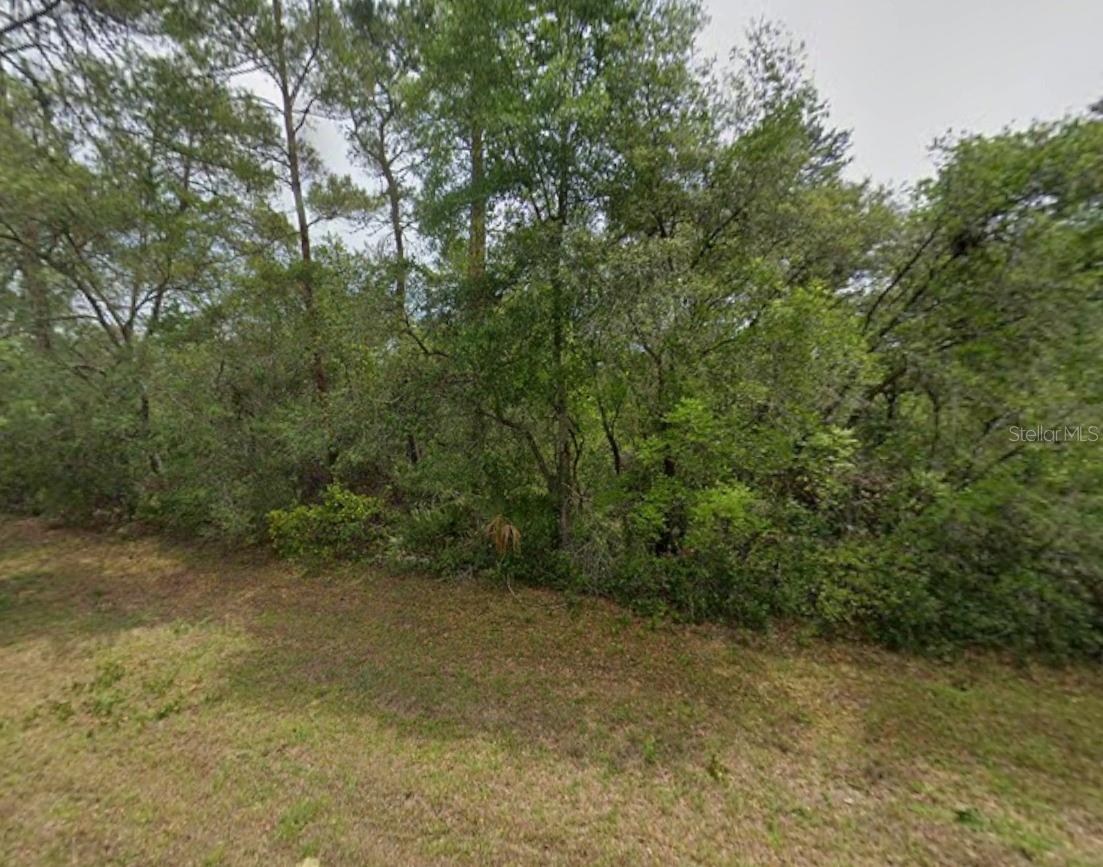 MARION OAKS UN 05 - Land