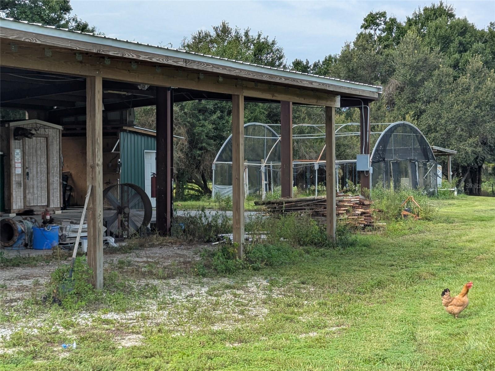 TOWN/BELLEVIEW - Residential