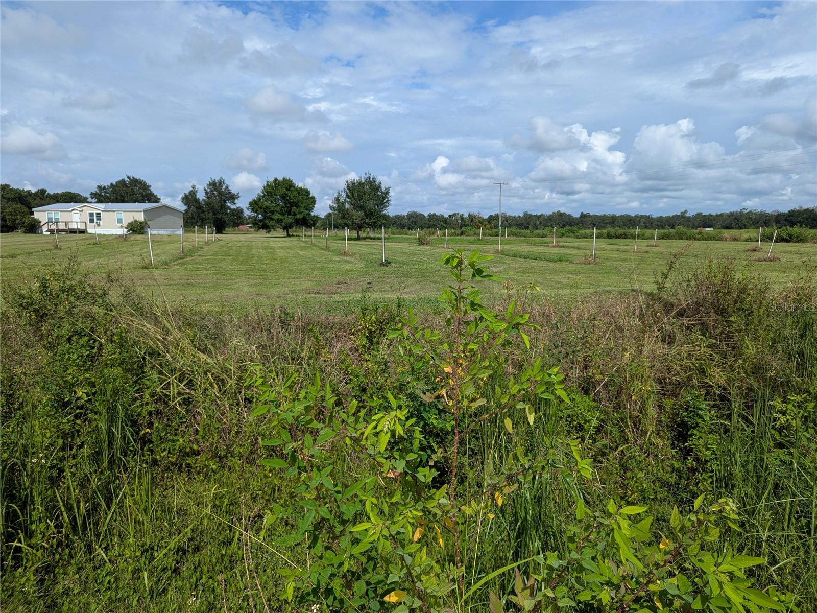 TOWN/BELLEVIEW - Residential