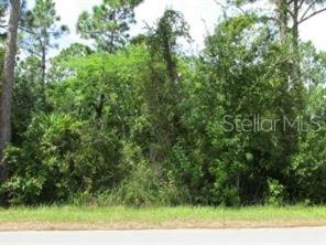 TROPICAL GULF ACRES - Land