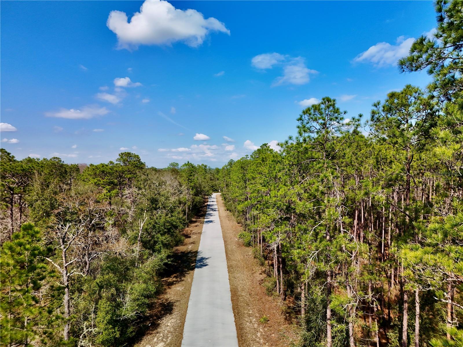 RAINBOW LAKES ESTATES 1/4 ACRE BUILDING LOT! Build your Florida dream home in the peaceful countryside of Dunnellon! This beautiful undeveloped homesite offers the opportunity to create a home that fits your lifestyle, with the freedom and space of country living while remaining conveniently close to everyday amenities. Located on a paved road in an area experiencing new construction and continued growth, this property offers an excellent setting for a new home or future investment.

Enjoy the quiet surroundings and natural beauty of the Dunnellon area while still being within easy reach of shopping, dining, schools, outdoor recreation, and the conveniences of Ocala. The property is also ideally positioned for those who enjoy Florida's renowned equestrian lifestyle, with the World Equestrian Center (WEC) and Ocala's premier horse country within a convenient drive.

Whether you're looking to build your primary residence, a peaceful weekend retreat, or secure a piece of land for the future, this property offers an appealing combination of country privacy, paved-road access, nearby new construction, and convenient access to Dunnellon and Ocala.

Come enjoy the slower pace of country life without giving up the conveniences of town. Bring your plans, choose your builder, and create your own piece of North Central Florida.