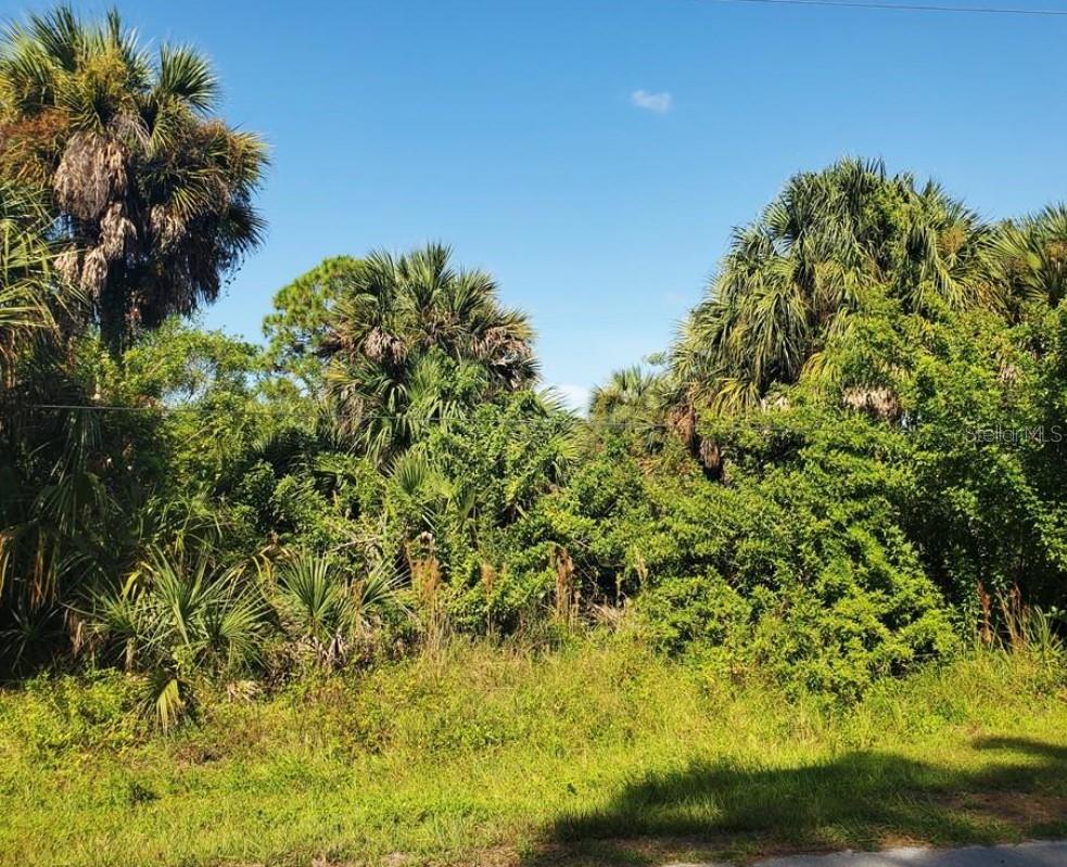 PORT CHARLOTTE SEC55 - Land